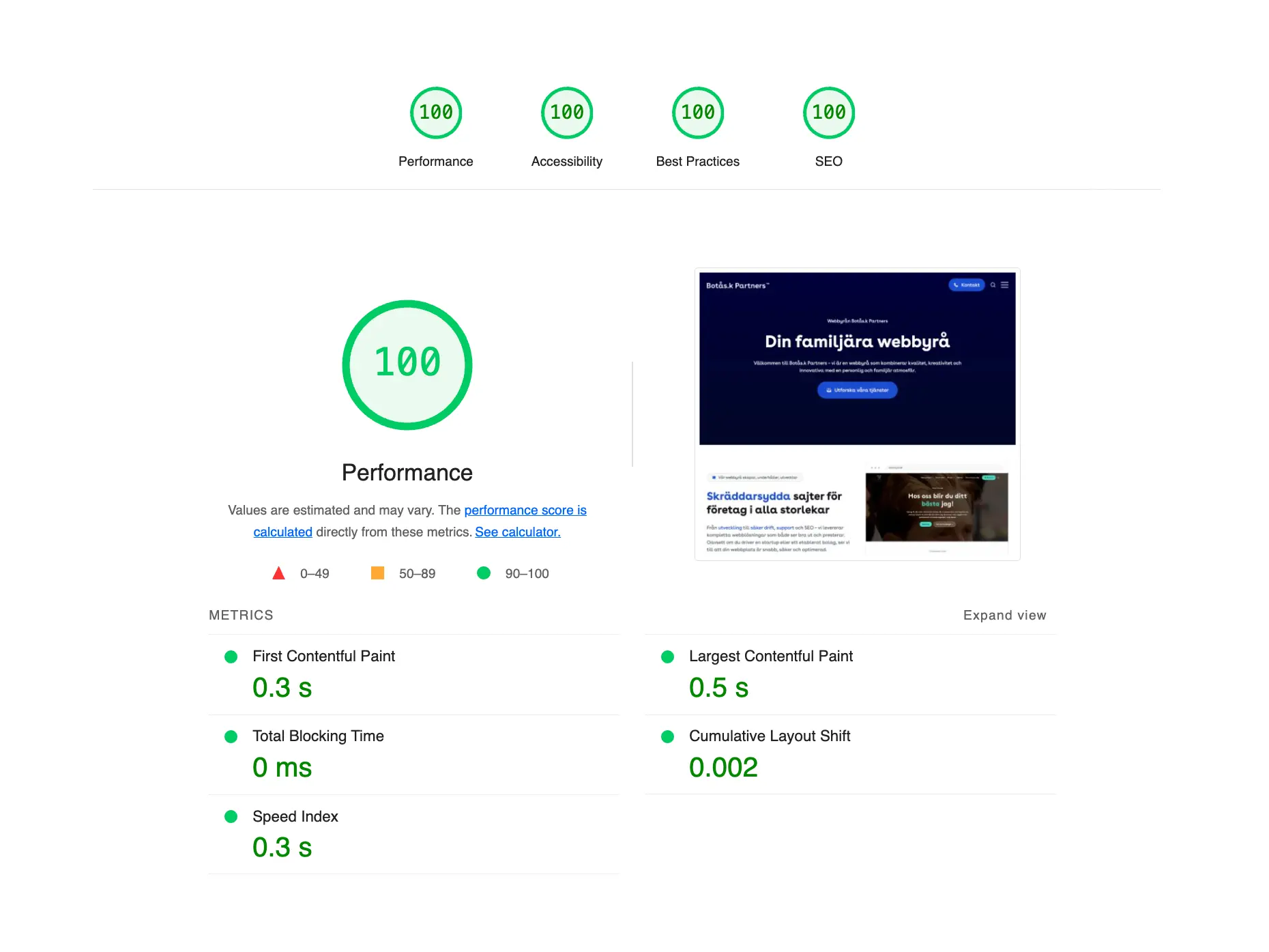 Skärmdump visar 100/100 i Google PageSpeed för botaskpartners.se – bevis på snabb WordPress Hosting.