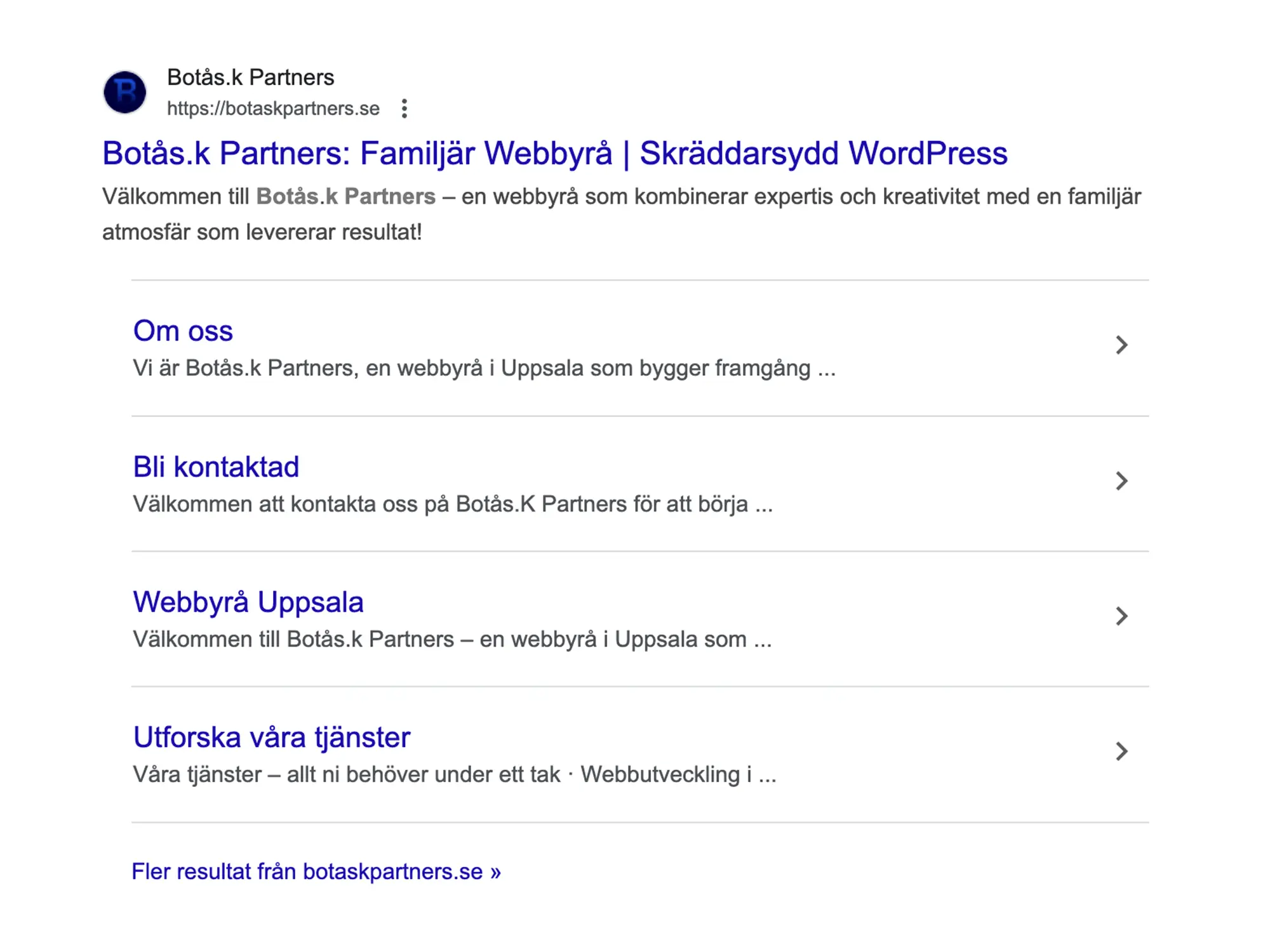 SEO byrå med stark närvaro i Googles sökresultat – Botås.k Partners syns högt på relevanta sökord